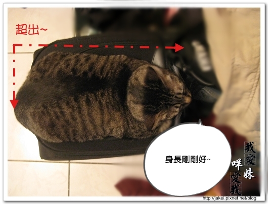 100108 行李箱很搶手 03.jpg
