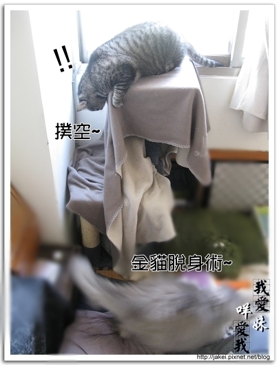 100110 跳台很擠06.jpg