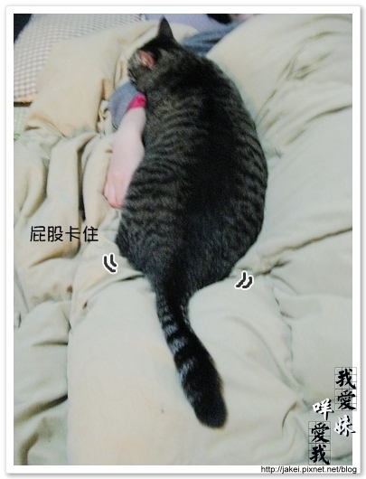 100121 和choiu一起睡 02.jpg