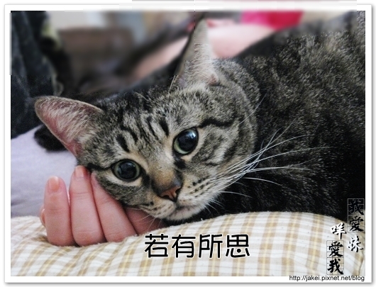 100121 和choiu一起睡 05.jpg