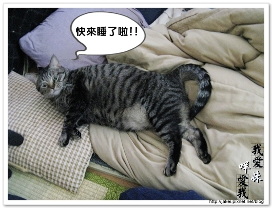 100121 和choiu一起睡 06.jpg