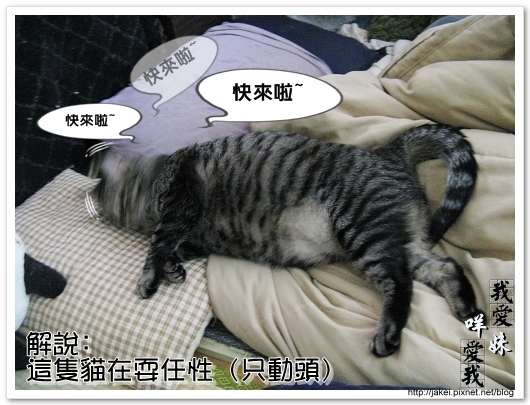 100121 和choiu一起睡 07.jpg