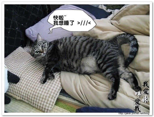 100121 和choiu一起睡 084.jpg