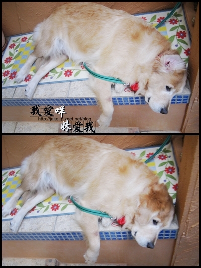 100206 布列塔尼 03.jpg 100206 布列塔尼 03.jpg