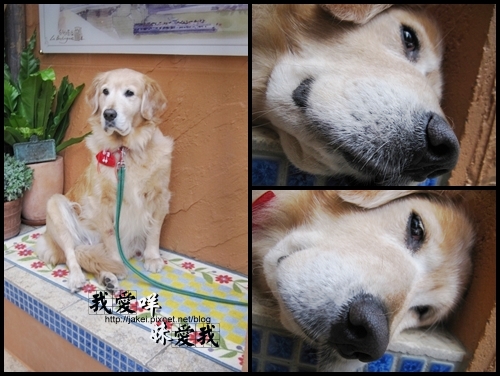 100206 布列塔尼 04.jpg 100206 布列塔尼 04.jpg
