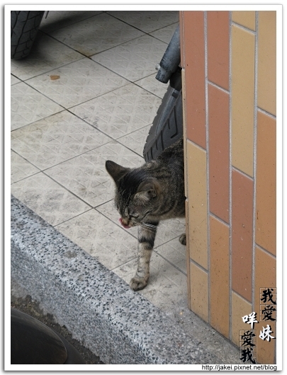 100207 巧遇小小班 05.jpg