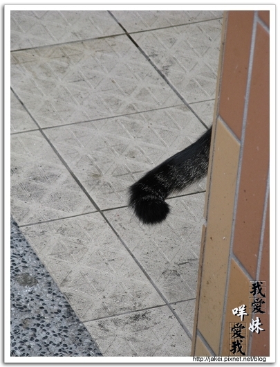 100207 巧遇小小班 10.jpg