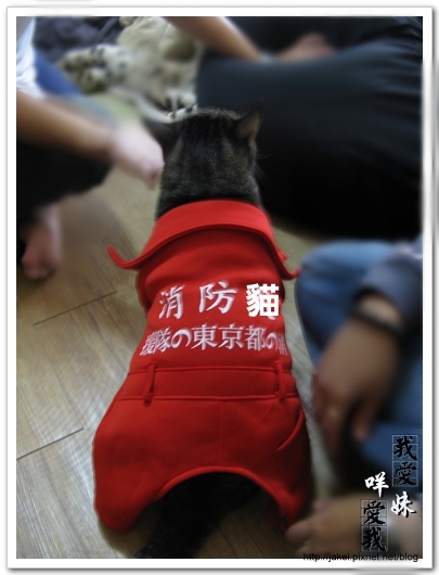 100207 消防貓 04.jpg
