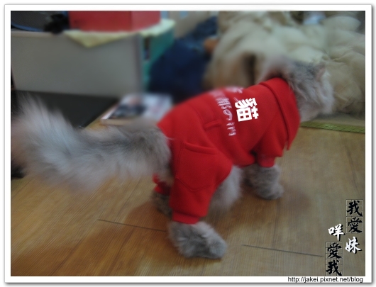 100207 消防貓 05.jpg