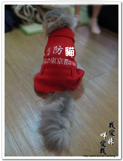 100207 消防貓 06.jpg