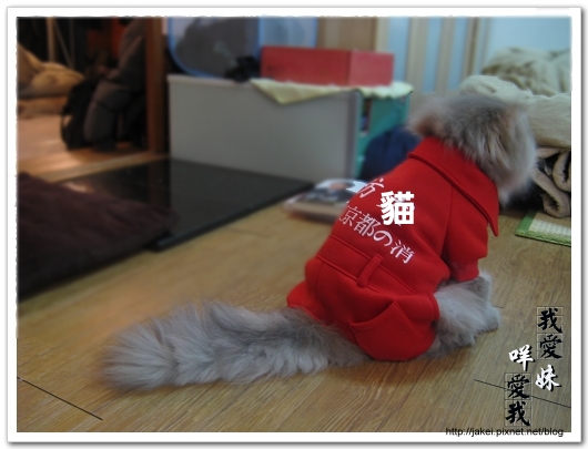 100207 消防貓 07.jpg