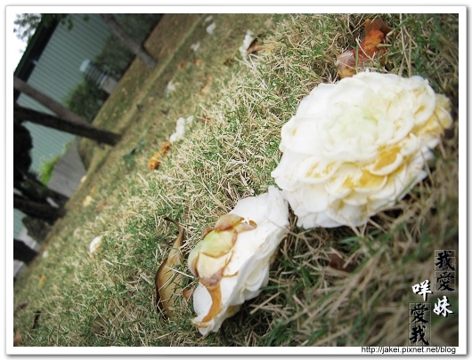 100207 瞎晃電台街 10.jpg 100207 瞎晃電台街 10.jpg