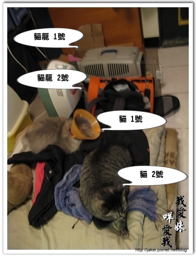 2010 過年_3826.jpg 2010 過年_3826.jpg