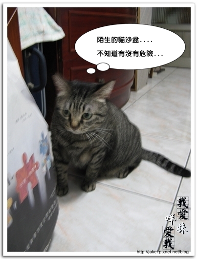 2010 過年_3846.jpg 2010 過年_3846.jpg