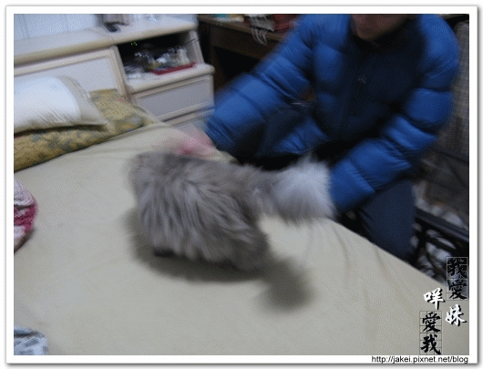 2010 過年_3852.gif 2010 過年_3852.gif