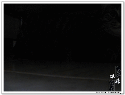 2010 過年_3865.gif 2010 過年_3865.gif