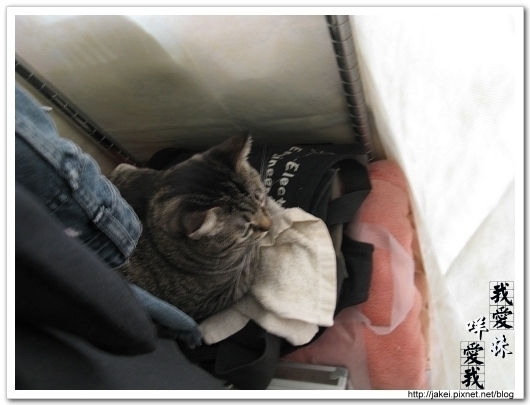 2010 過年_3914.jpg