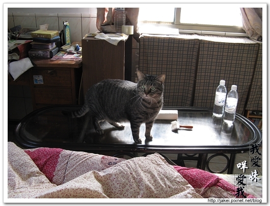 2010 過年_3915.jpg