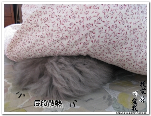 2010 過年_3917.jpg