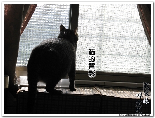 2010 過年_3921.jpg