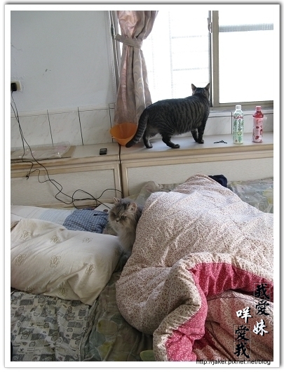 2010 過年_3932.jpg