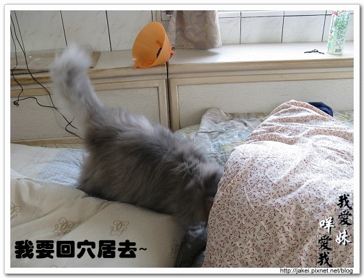 2010 過年_3941.gif