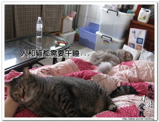 2010 過年_3953.jpg