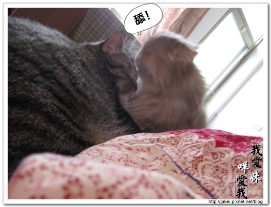2010 過年_3992.jpg