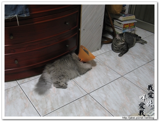 2010 過年_4003.jpg