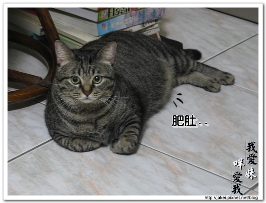 2010 過年_4004.jpg