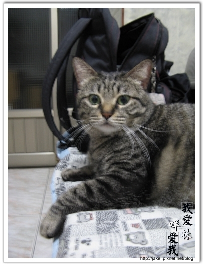 2010 過年_4032.jpg