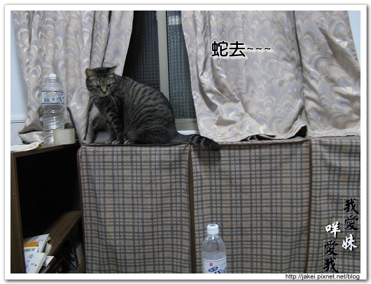2010 過年_4037.jpg