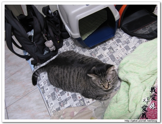 2010 過年_4077.jpg