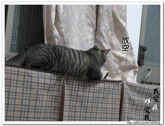2010 過年_4081.jpg