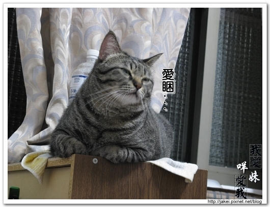 2010 過年_4091.jpg