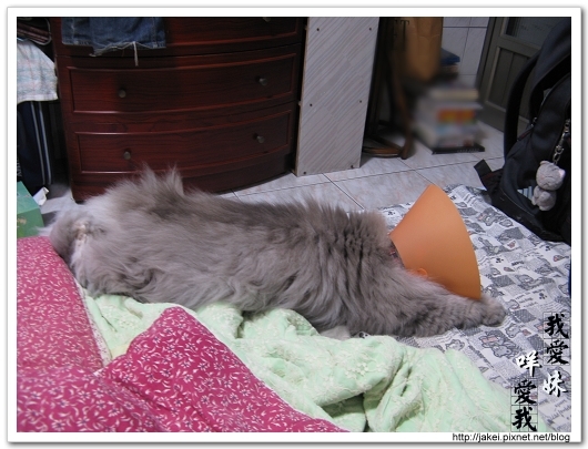 2010 過年_4135.jpg