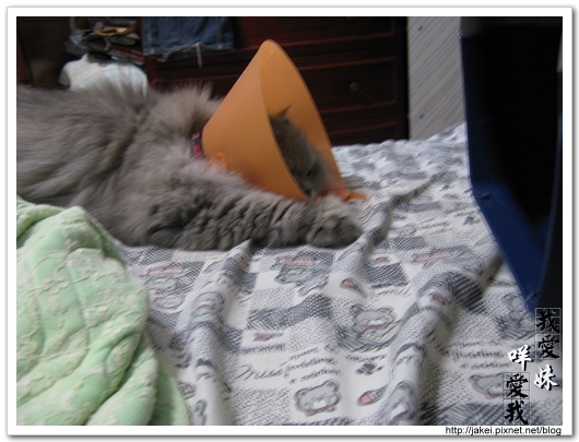 2010 過年_4136.jpg