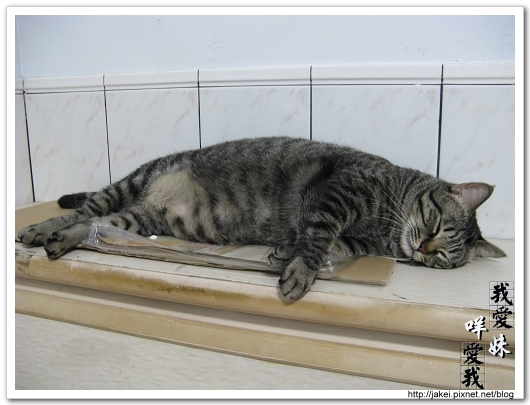 2010 過年_4154.jpg