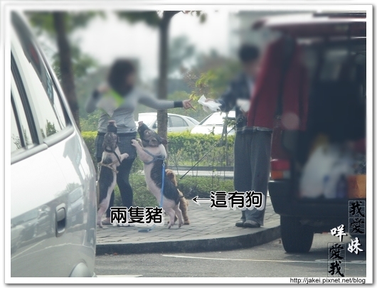 2010 過年_4157.jpg