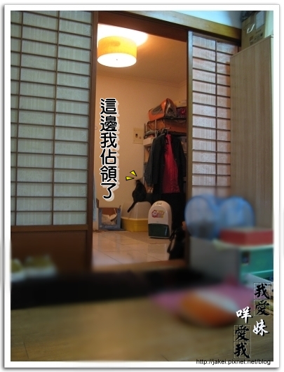 2010 過年_4160.jpg