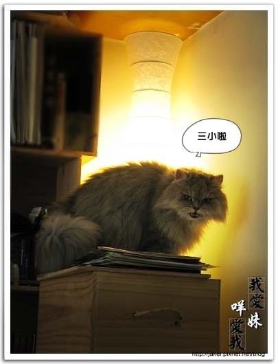2010 過年_4164.jpg