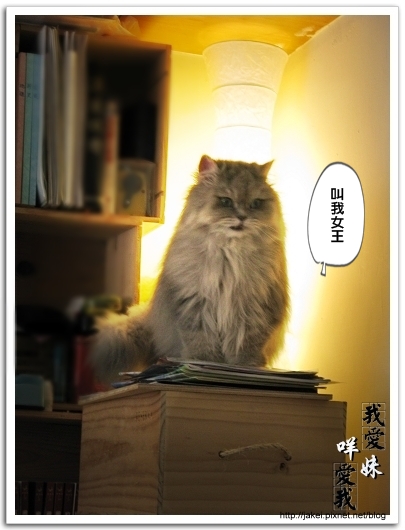 2010 過年_4166.jpg