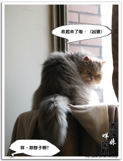 2010 過年_4169.jpg