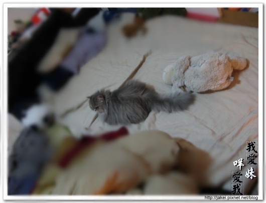 2010 過年_4171.jpg