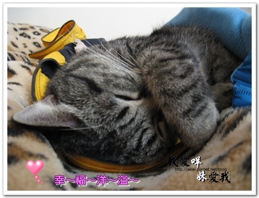 100219 BANK很愛K 03.jpg 100219 BANK很愛K 03.jpg