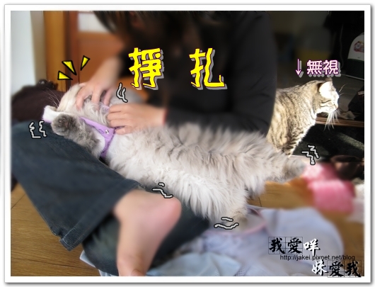 100219 推倒咩 01.jpg