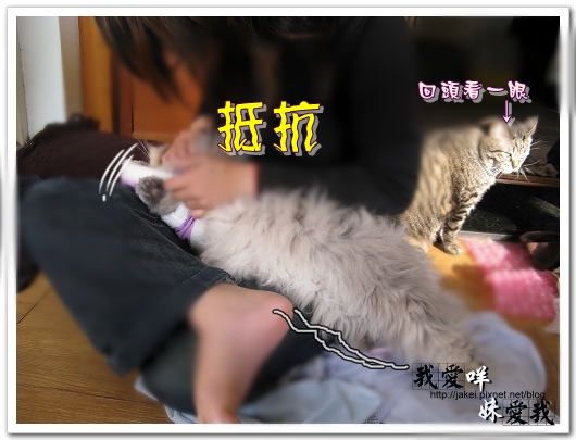 100219 推倒咩 02.jpg