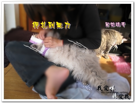 100219 推倒咩 03.jpg