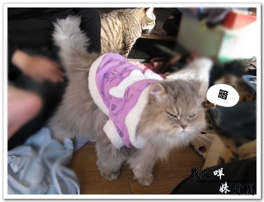 100219 推倒咩 05.jpg