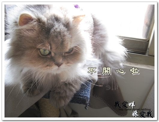 100219 推倒咩 09.jpg